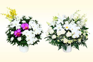 ���֡���ʪ