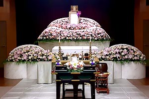 ����ο���̱����ץ��